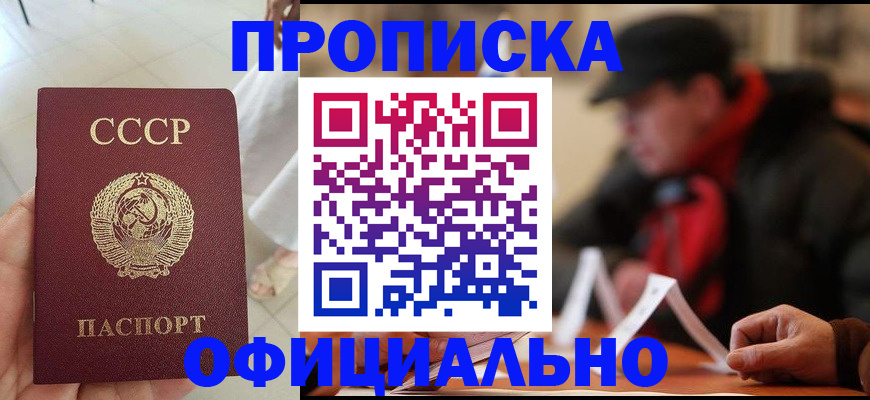 временная регистрация для школы в Змеиногорске